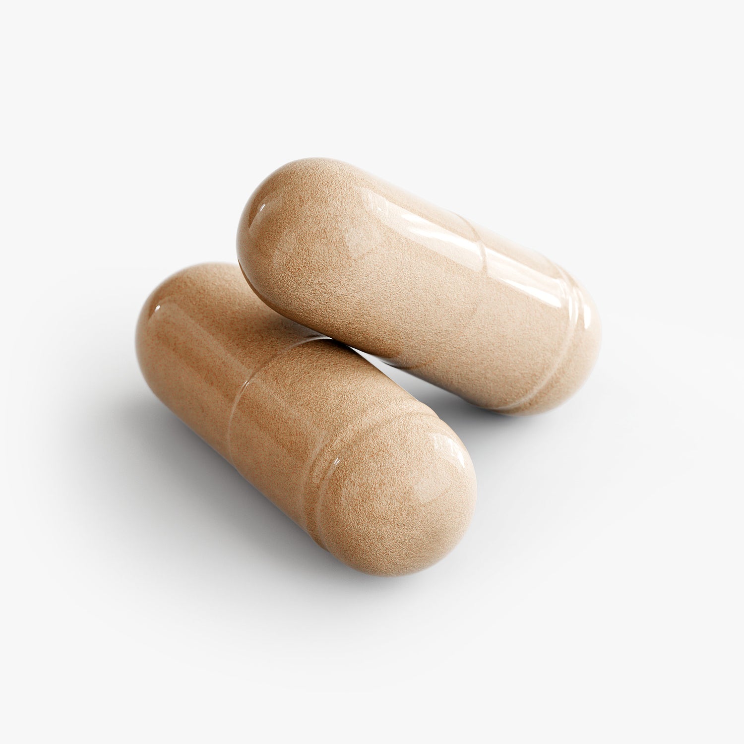 Medicinal Mushroom